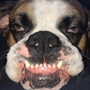 Meet your Posher, Amber